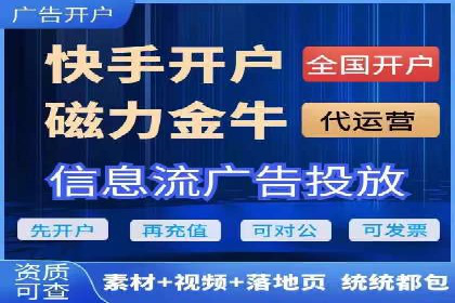某电商平台的SEM广告投放策略及效果评估